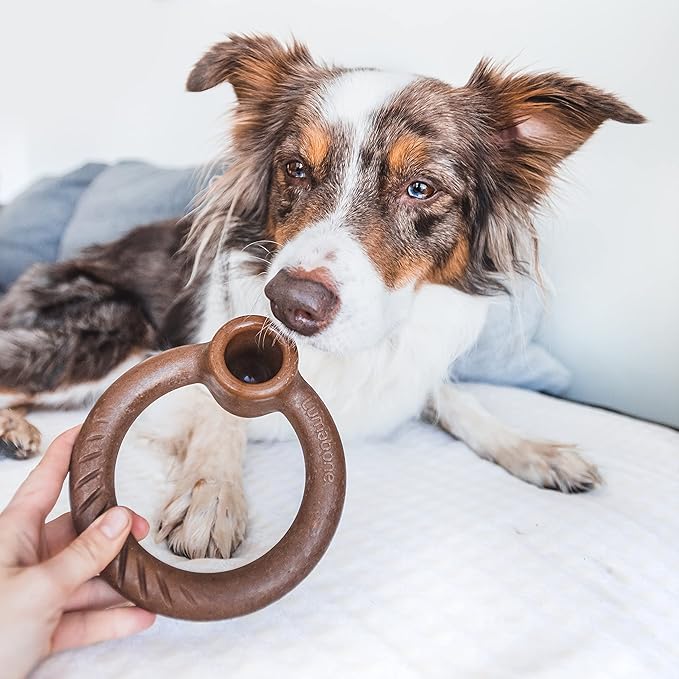 Lumabone Ring Stuffer Durable Chew Toy for Aggressive Chewers, Real Beef, Made in USA, Small