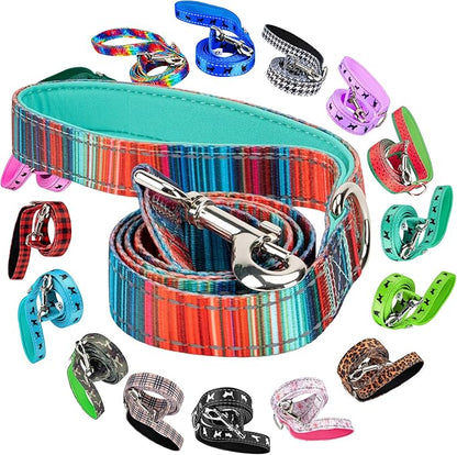 EcoBark Dog Leash - Soft & Reflective Comfort Leash with Padded Handle - Safe, Strong, & Durable for Small, Medium or Large Dogs (Multicolor Stripe)