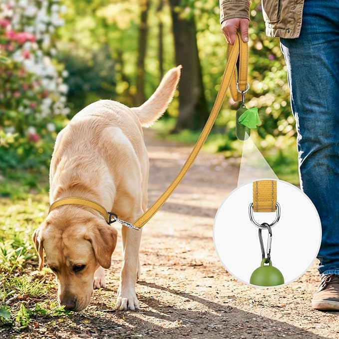 Joytale Dog Leash, 6 FT Double-Sided Reflective, Padded Handle Nylon Heavy Duty Leashes for Medium & Large Dogs Walking, Khaki