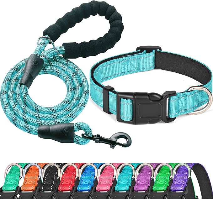 Ladoogo Reflective Dog Collar Padded with Soft Neoprene Breathable Adjustable Nylon Dog Collars for Small Medium Large Dogs (X-Small (Pack of 1), Blue Collar+Leash)