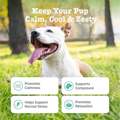 Zesty Paws Calming Chews for Dogs - for Everyday Stress, Relaxation, Composure, and Separation Peanut Butter 50 Count