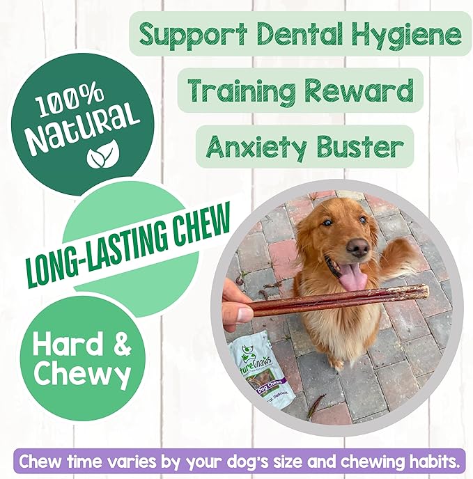 Nature Gnaws Large Bully Sticks for Dogs 11-12" (10 Count) - Thick Long Lasting for Aggressive Chewers and Large Dogs - Natural Beef Dog Chew Bones