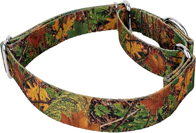 Country Brook Petz - Southern Forest Camo Martingale Dog Collar and Leash - Camouflage Collection Featuring Rugged Designs (1 Inch, Medium)