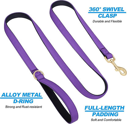Didog Colorful Soft Padded Nylon Dog Collar & 5FT Dog Leash Set for Medium Dogs