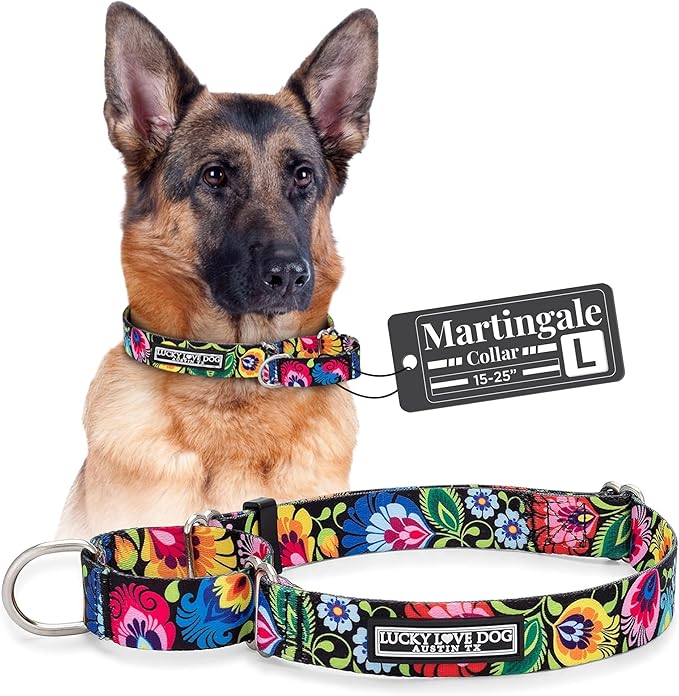 Lucky Love Dog Martingale Dog Collar - Adjustable, No-Slip, Durable, & Soft Webbing Collar for Male and Female Dogs Ideal for Training & Walking - Blackbird, Large
