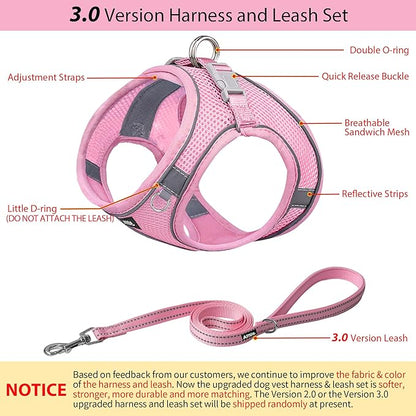 AIITLE Small Harness for Puppy with A Leash - Dog Vest Harness with Super Breathable Mesh, Reflective No-Pull Pet Harness for Outdoor Walking, Running for Small Dogs, Cats Pure Pink XXS