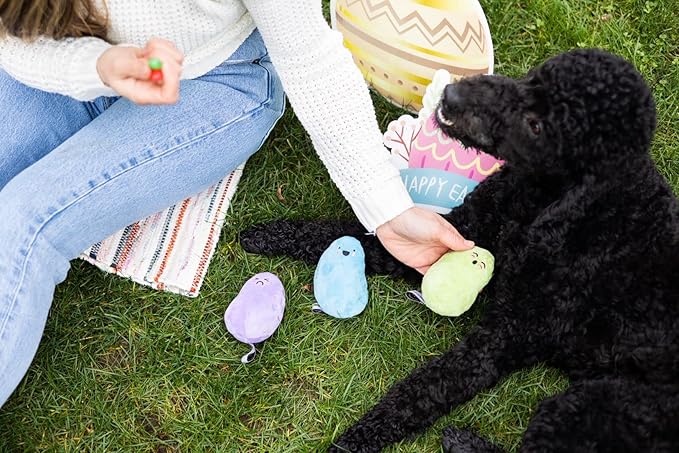 Pearhead Jelly Beans Plush Dog Toys, Easter Dog Toy Set with Squeakers, Pastel Interactive Puppy & Dog Play Toys, Pet Easter Basket Gift, Set of 3
