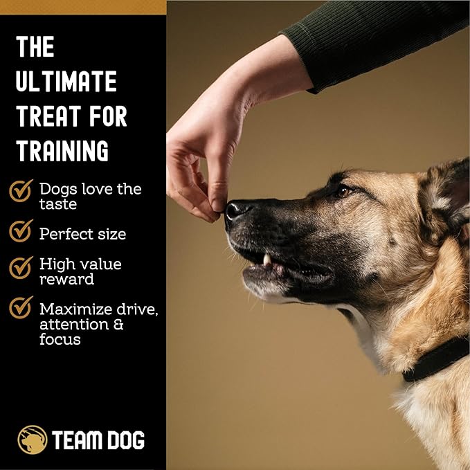 Team Dog Freeze Dried Salmon Dog Treats for Training | Healthy Gluten Free, Grain Free Dog Treats | No Added Fillers, Flavoring or by-Products | for All Breeds & Sizes | 5 Oz Salmon Bites