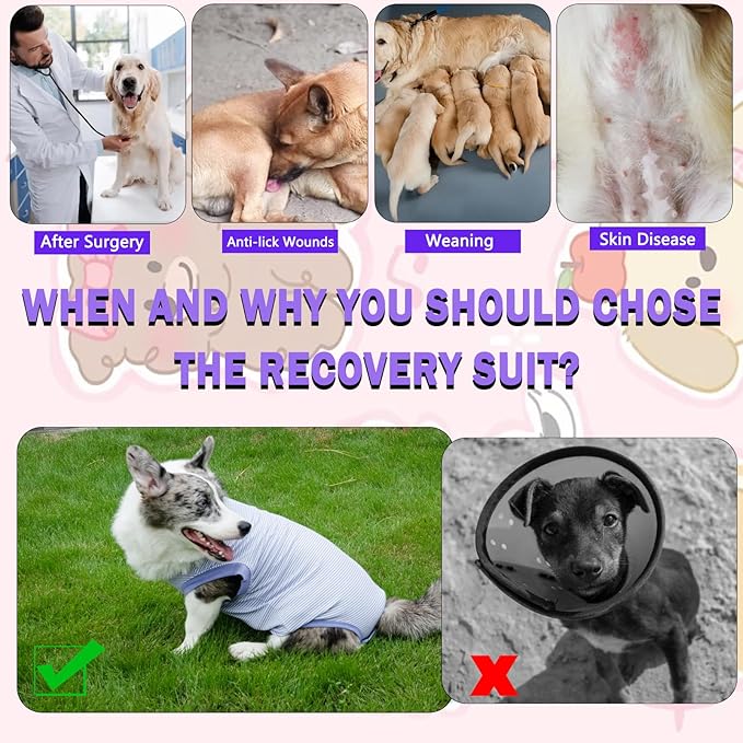 Dog Surgery Recovery Suit, Surgical Recovery Suit for Dog Male Female Neuter, Spay Shirt Onesie for Post Surgery, Cone Alternative Purple, Small
