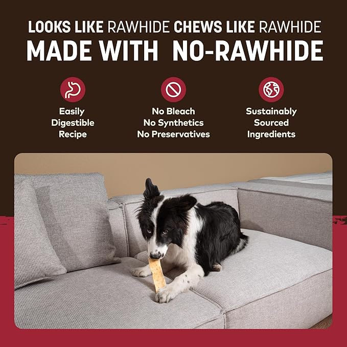 Earth Animal No Hide Strips - Natural Rawhide Free Dog Chew Strips, Beef - 16 Count