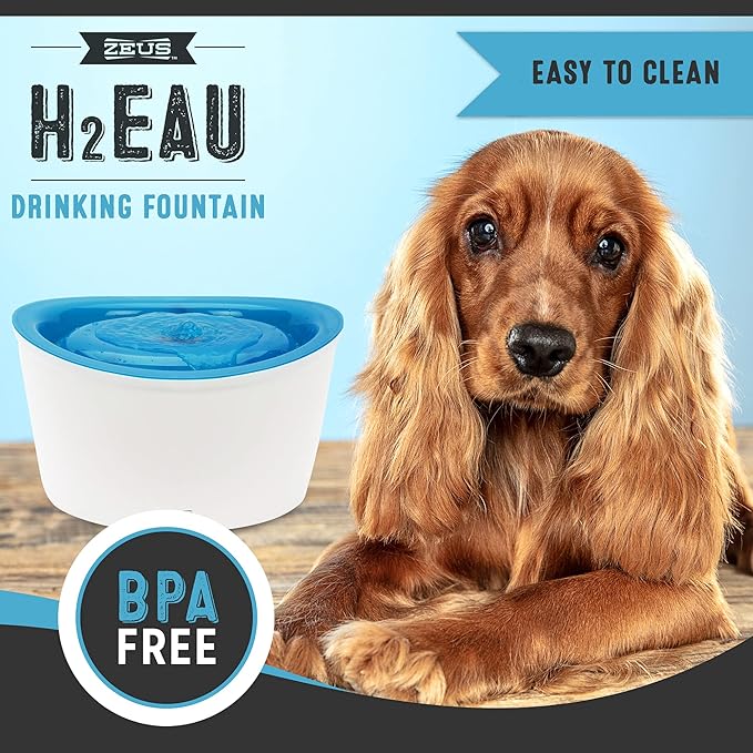 Zeus Fresh & Clear Elevated Dog and Cat Water Dispenser, Large Drinking Water Fountain with Purifying Filter, 6L Capacity, 1 Count (Pack of 1)