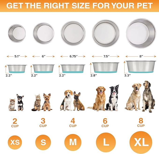 Neater Pet Brands Stainless Steel Dog Bowls with Non-Slip Rubber Bottom – Set of 2, 6 Cup (48 oz), Teal - Heavy Duty Metal Dog Bowl, Dishwasher Safe, Food or Water Bowl, Ideal for Large Dogs