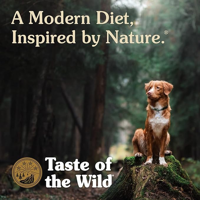 Taste of the Wild Pacific Stream Canine Recipe with Salmon in Gravy Canned Dog Food, 13.2-oz, Case of 12