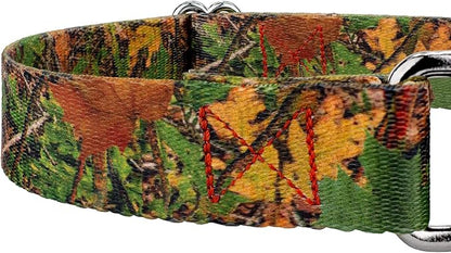 Country Brook Petz - Southern Forest Camo Martingale Dog Collar and Leash - Camouflage Collection Featuring Rugged Designs (1 Inch, Medium)