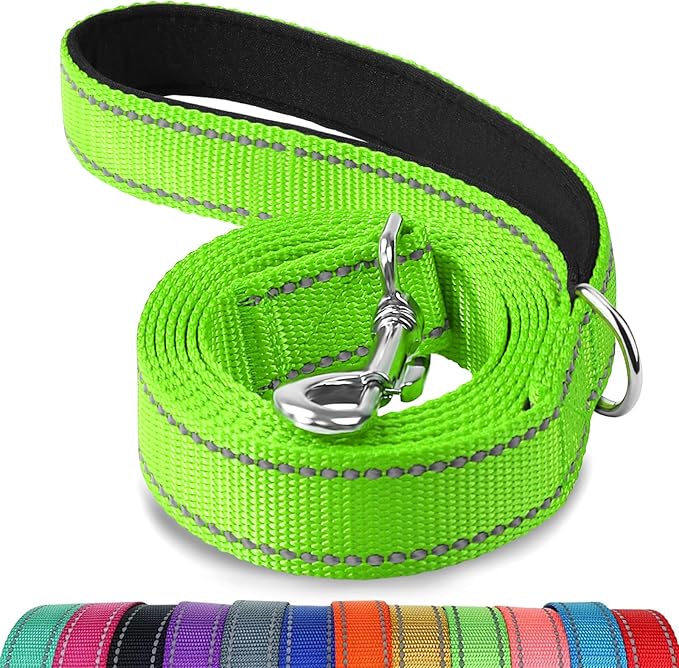 Joytale Dog Leash, 5 FT Double-Sided Reflective, Padded Handle Nylon Heavy Duty Leashes for Small Dogs Walking, Green