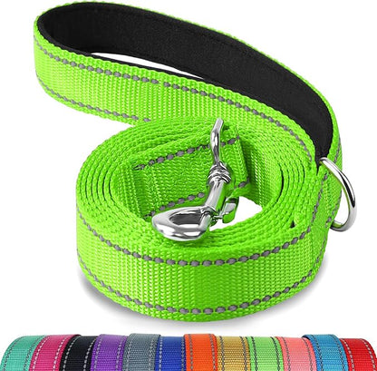 Joytale Dog Leash, 5 FT Double-Sided Reflective, Padded Handle Nylon Heavy Duty Leashes for Small Dogs Walking, Green