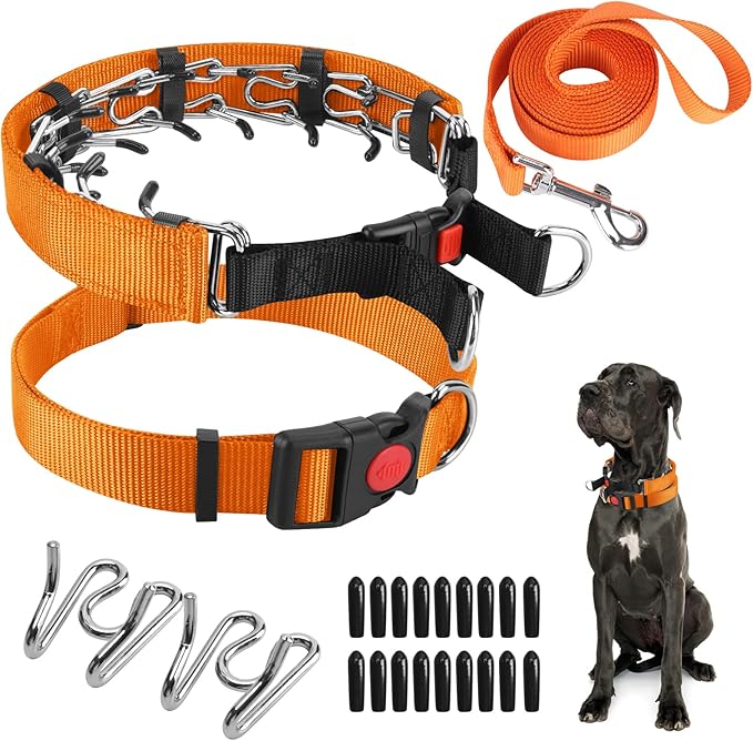 Prong Training Collar with Comfort Tips and Quick Release Snap Buckle - Dog Choke Pinch Collar with Nylon Cover
