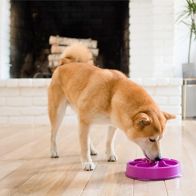 Outward Hound Fun Feeder Slo Bowl – Medium 2‑Cup Capacity, Slow Feeding, Small to Medium Dogs & Cats, Non-Slip, Purple, Flower Pattern