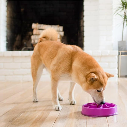 Outward Hound Fun Feeder Slo Bowl – Medium 2‑Cup Capacity, Slow Feeding, Small to Medium Dogs & Cats, Non-Slip, Purple, Flower Pattern