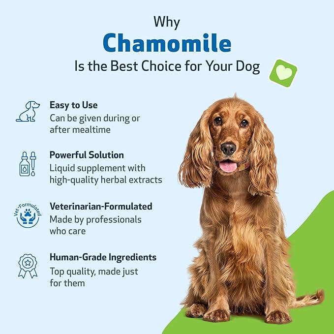 Pet Wellbeing Chamomile for Dogs - Organic Single Herb Supplement - Gentle Digestive Support, Holistic Calming - Pure Chamomile Extract - Vet-Formulated Liquid Wellness 2 oz (59ml)