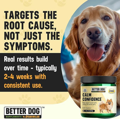 Better Dog Supplements Calm Confidence by Cesar Millan Natural Brain Support & Dog Cognitive Supplement – Energy, Vitality & Focus Supplement with Ashwagandha & Other Herbs – 4oz (60-Day Supply)