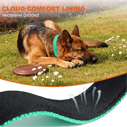 Taglory 16-24" Length, 1" Wide Dog Collar and Leash Set, 1/2" x 6 FT Highly Reflective Threads Dog Leash for Medium and Large Dogs,Turquoise