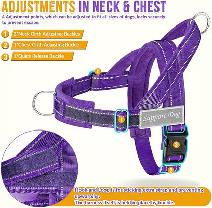 SlowTon No Pull Dog Harness - Heavy Duty Dog Harness and Leash Set for Medium Large Dogs, Reflective Tactical Harness with Soft Padded and Front Clip for Easy Walk and Training (PU, S)