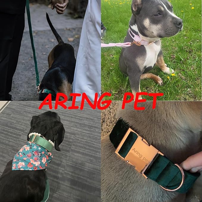 ARING PET Dog Collar and Leash, Velvet Dog Collar and Leash Set, Soft & Comfy, Adjustable Collars for Dogs Medium