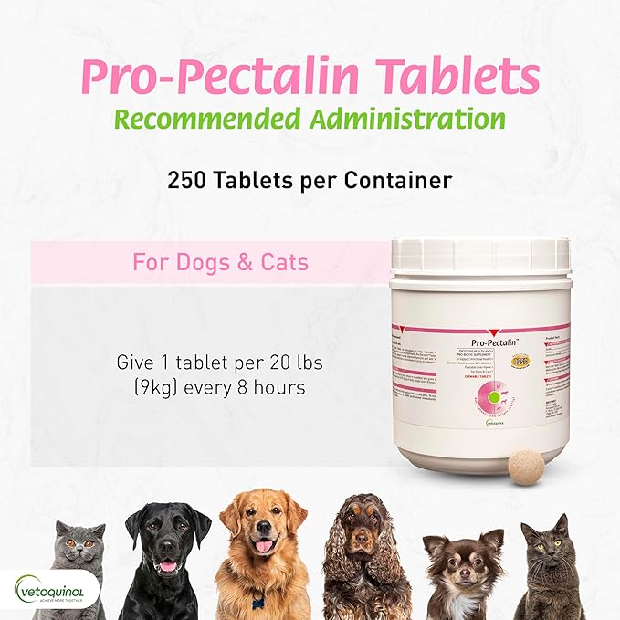 Vetoquinol Pro-Pectalin Chewable Tablets for Dogs & Cats, Helps Relieve Occasional Diarrhea, Situational Diarrhea Relief with Kaolin and Pectin, Contains Beneficial Probiotic Bacteria, 250 ct