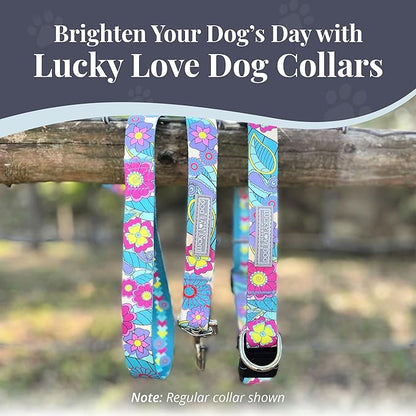 Lucky Love Dog Martingale Collar, Premium No Slip Martingale Collar for Large Dogs, Great for Whippets, Greyhounds, and More (Caroline, Large)
