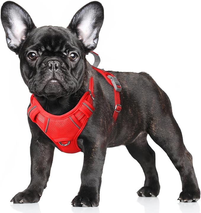 BARKBAY No Pull Dog Harness Large Reflective Dog Harness with Front Clip and Easy Control Handle for Walking Training Running with ID tag Pocket(Red,S)