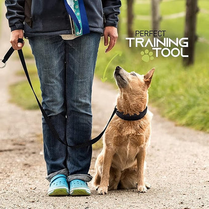Ram-Pro Dog Training Collar Small Pinch Collar for Dogs Triple Crown Pro Training Collar Large Gentle Effective Control in a No Barking Control Dog Collar for All Breeds