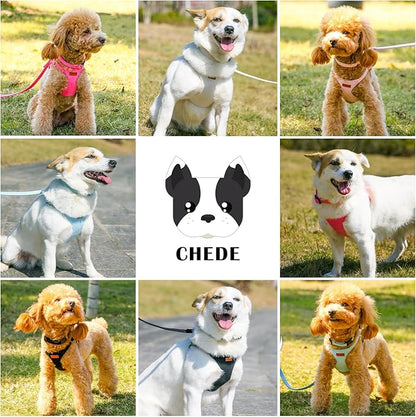 No Pull Dog Harness- Lightweight, Soft, Adjustable Small Harness Collar and Leash Set, Suitable for Cats Puppy Small and Medium-Sized Dog Outdoor Training and Running (Pink, S)