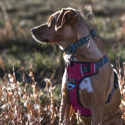 Embark Adventure Dog Harness for Medium Dogs – No Pull, Reflective Trim, Military Grade Nylon, Front Clip, Gel-Lined Handle