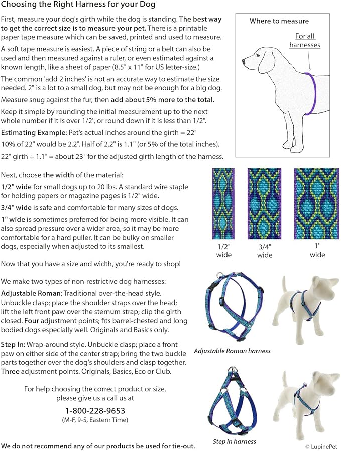 LupinePet Originals 3/4" Turtle Reef 15-21" Step in Harness for Small Dogs