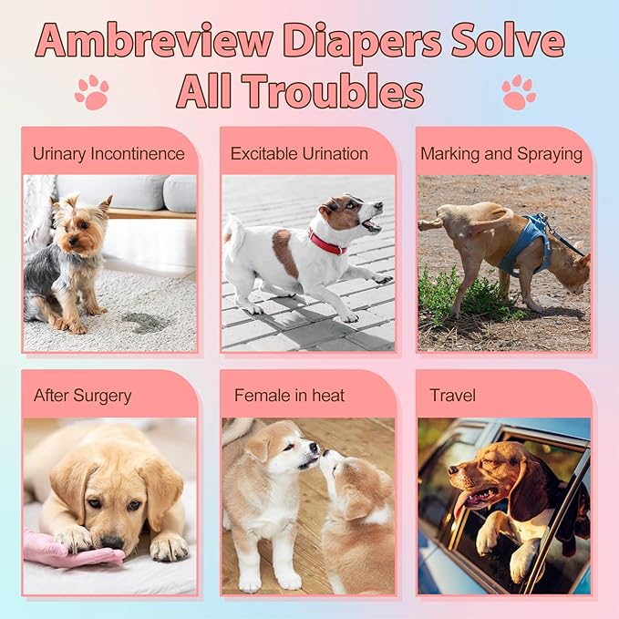 Ambreview Disposable Dog Diapers Female, Just Pull It Up, Doggie Diapers for Female Dogs, Strong Absorbency | Leak Proof, for Dogs in Heat | Elderly | Disabled, XS 30 PCS