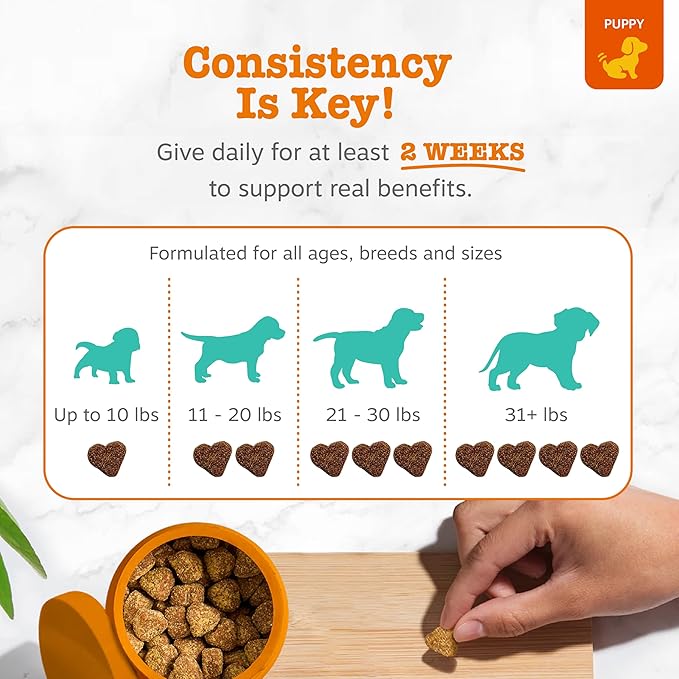Zesty Paws Calming Chews for Dogs - for Everyday Stress, Relaxation, Composure, and Separation, Puppy Bites Turkey 90 Count