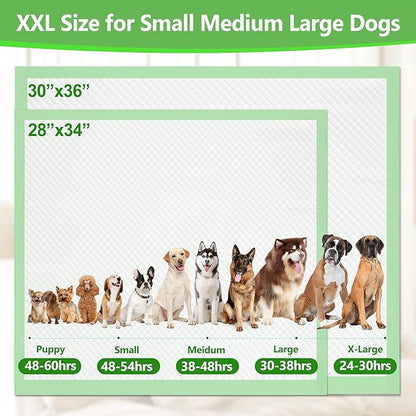 Gimars XL 6-Layer Ultra Absorbent 1200ml 48-Hour Leak-Proof Dog Pee Pads, Quick Dry Extra Large Puppy Pads for Puppy Training, Senior & Incontinent Dogs, Cats, Overnight Use, 30"x36", 30 Count Green