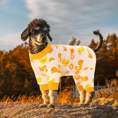 Dog Surgery Recovery Suit, Dog Onesie for Surgery Female Male Dogs, Dogs Pajamas Long Sleeve, Small Dogs Onesie, Abdominal Wound Bandages Surgical Suit, Cat Recovery Suit for Shedding Skin Disease