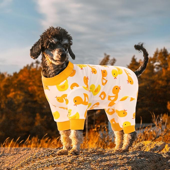 Dog Surgery Recovery Suit, Dog Onesie for Surgery Female Male Dogs, Dogs Pajamas Long Sleeve, Small Dogs Onesie, Abdominal Wound Bandages Surgical Suit, Cat Recovery Suit for Shedding Skin Disease