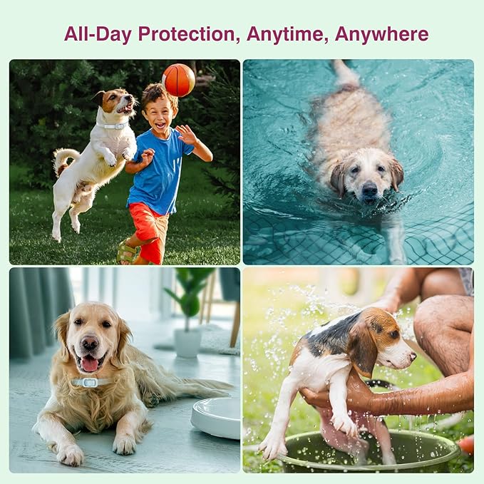 Natural Flea and Tick Collar for Dogs - 4 Pack, 8 Months Long-Lasting Protection, Waterproof, Adjustable Size for Small Medium and Large Dog