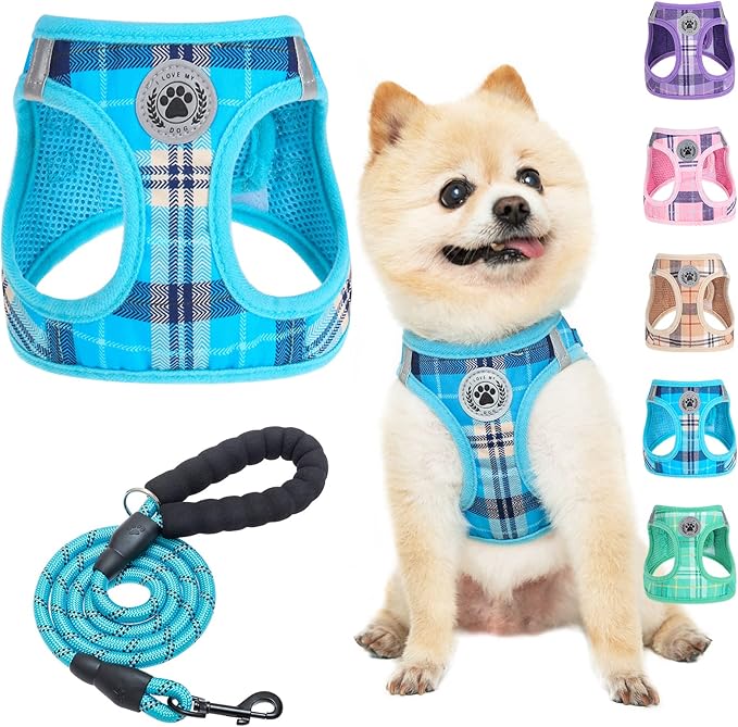 BEAUTYZOO Small Dog Harness and Leash Set,Step in No Choke No Pull Soft Mesh Dog Harnesses Reflective for Extra-Small/Small Medium Puppy Dogs and Cats, Plaid Dog Vest Harness for XS S Pets, Blue XXS