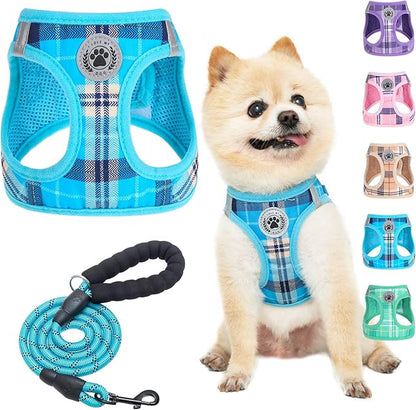 BEAUTYZOO Small Dog Harness and Leash Set,Step in No Choke No Pull Soft Mesh Dog Harnesses Reflective for Extra-Small/Small Medium Puppy Dogs and Cats, Plaid Dog Vest Harness for XS S Pets, Blue XXS