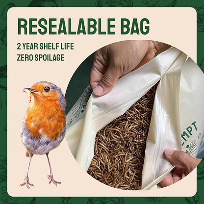 Hatortempt 2lb Dried Mealworms for Chickens - 50% Protein and 32% Essential Fats to Support Healthy Feather Growth During Molt - Organic Treats for Chickens, Ducks, Wild Birds & Reptiles