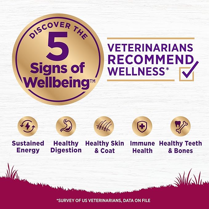 Wellness Complete Health Small Breed Adult Dry Dog Food, Grain Free Kibble, Chicken and Salmon Recipe, 11 lb Bag