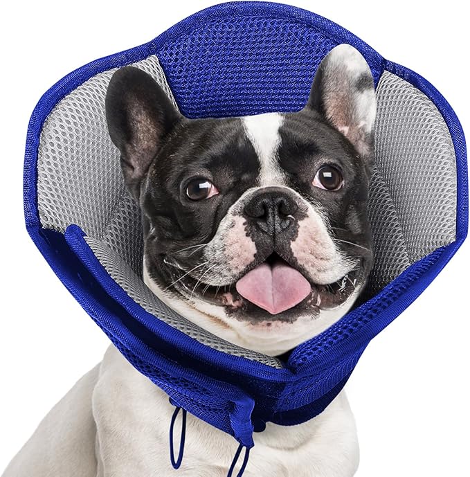 AOFITEE Dog Cone - Soft Cones Dog After Surgery, Comfy Cones for Dogs to Stop Licking, Adjustable Small Dogs Cone Collar for Wound Healing, Elizabethan Pet E-Collar, Blue Small