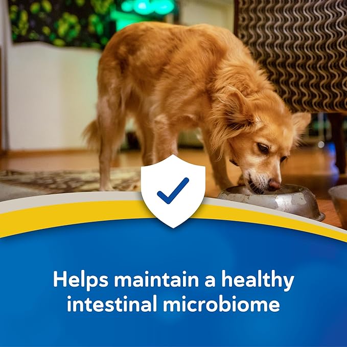 Doc Roy’s GI Synbiotics Probiotic & Prebiotic Granules for Dogs & Cats, Digestive & Immune Health Supplement with Live Cultures, BgMOS & Beta Glucans, Chicken Flavor, 25lb Granules