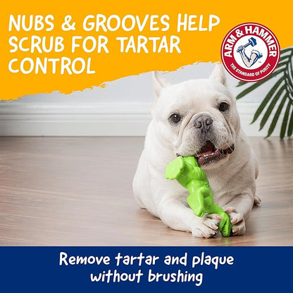 Arm & Hammer for Pets Nubbies Dental Toys T-Rex Dental Chew Toy for Dogs Best Dog Chew Toy for Moderate Chewers Reduces Plaque & Tartar Buildup Without Brushing, Mint Flavor (Pack of 24)