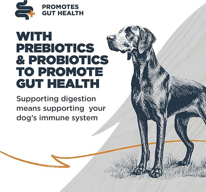 Blackwood Sensitive Skin & Stomach Dry Dog Food, Lamb Meal & Brown Rice with Ancient Grains, 10 Pound Bag with Prebiotics & Probiotics to Promote Gut Health