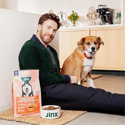 Jinx Premium Dry Dog Food, Puppy - Real Chicken, Brown Rice & Sweet Potato Kibble for Puppies with DHA, Protein & Calcium for Brain Health - Probiotics for Digestive Support - No Fillers - 4lb